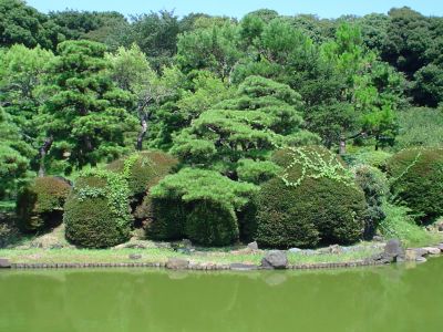 168_Botanical_Garden_Hakusan.jpg
