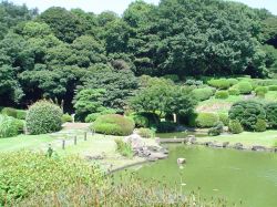 167_Botanical_Garden_Hakusan.jpg