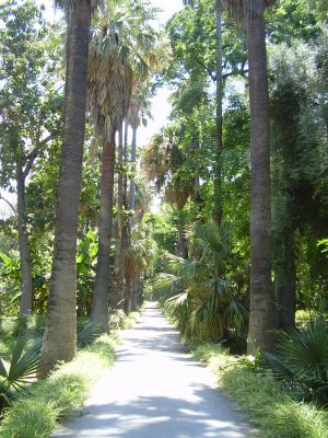 Orto Botanico in Palermo
