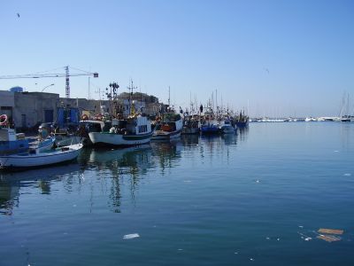 Haven van Trapani
