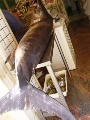 Zwaardvis bij de viswinkel in Agrigento
